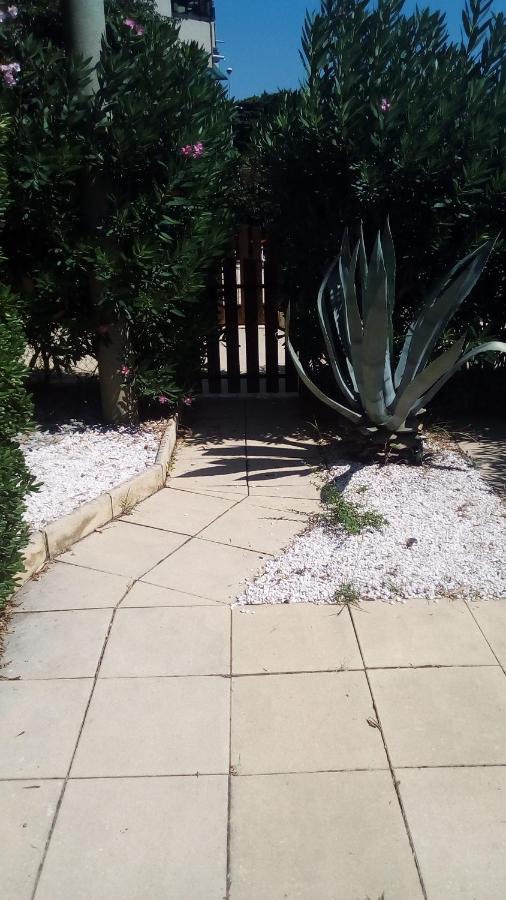 Studio De 27 M² + 70 M² De Jardin A 100 M Des Plages キャバレール・シュル・メール エクステリア 写真